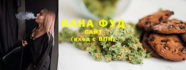 индика Абаза