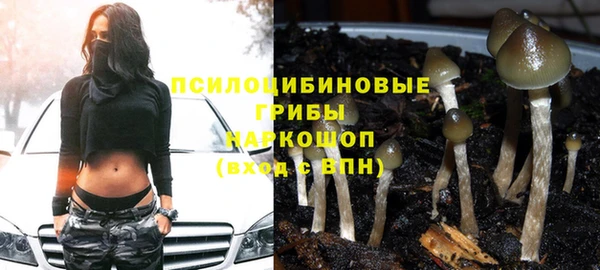 прущая мука Алексин