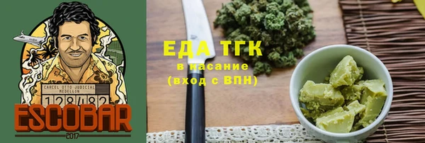 индика Абаза