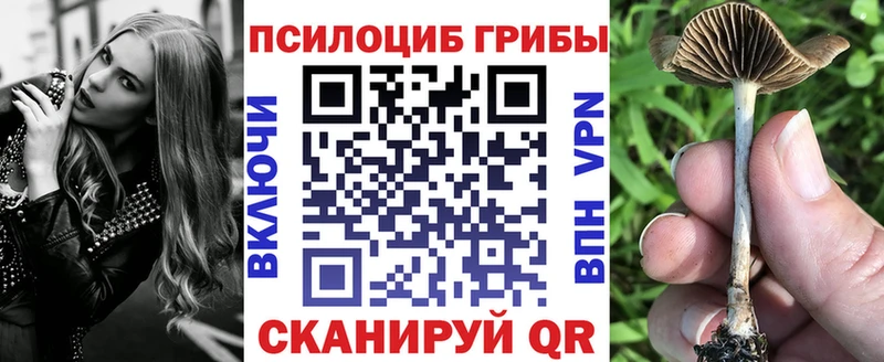 Псилоцибиновые грибы Psilocybine cubensis Хадыженск